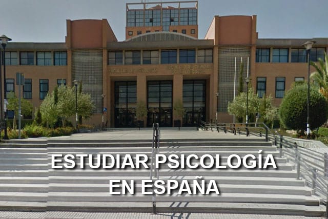 Estudiar psicología en España