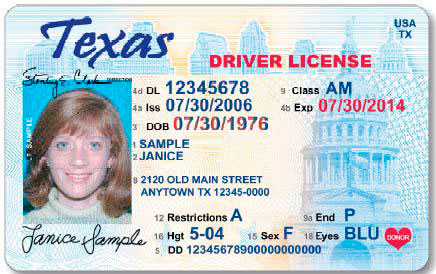 texas driver license