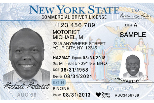 driver license new york state